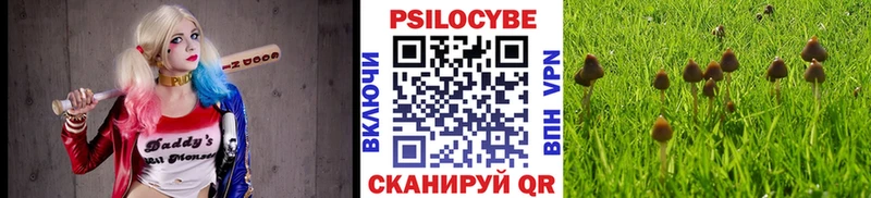 Галлюциногенные грибы прущие грибы  Кирово-Чепецк 