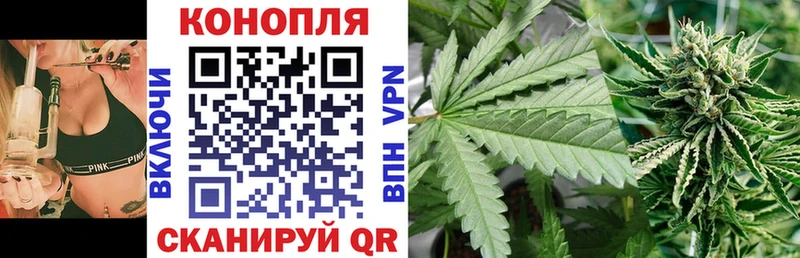 Конопля семена  даркнет Telegram  Кирово-Чепецк  blacksprut  